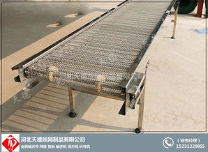 碳鋼網(wǎng)帶輸送機(jī)公司 食品轉(zhuǎn)彎?rùn)C(jī) 增城網(wǎng)帶輸送機(jī)